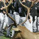 Illustration for article titled Baseball Season Preview: Colorado Rockies